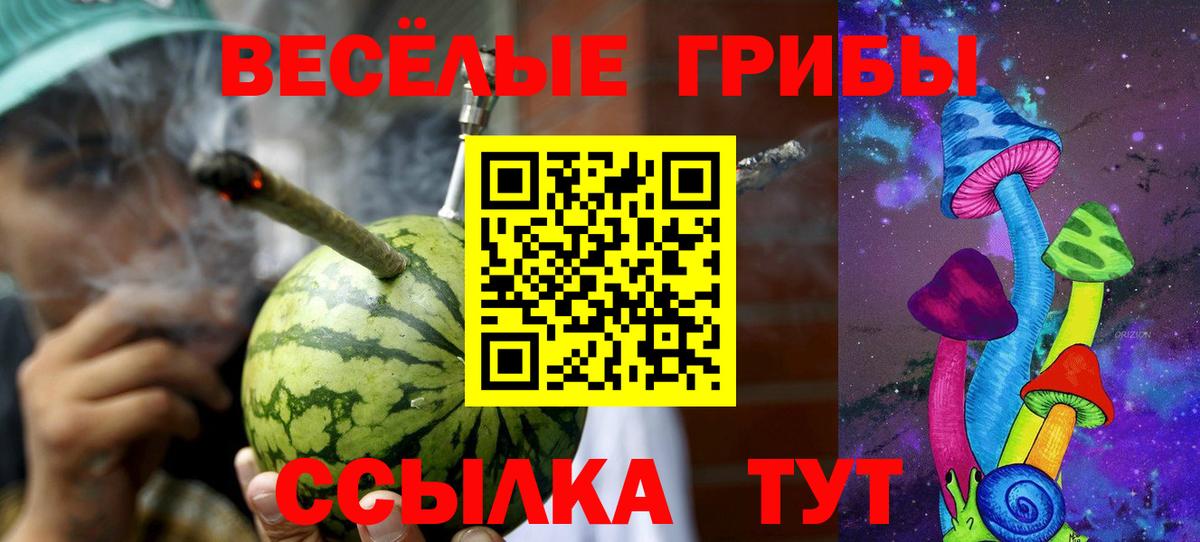 Обь  Галлюциногенные грибы Psilocybine cubensis  Галлюциногенные грибы прущие грибы  магазин  наркотиков  Вход с VPN 